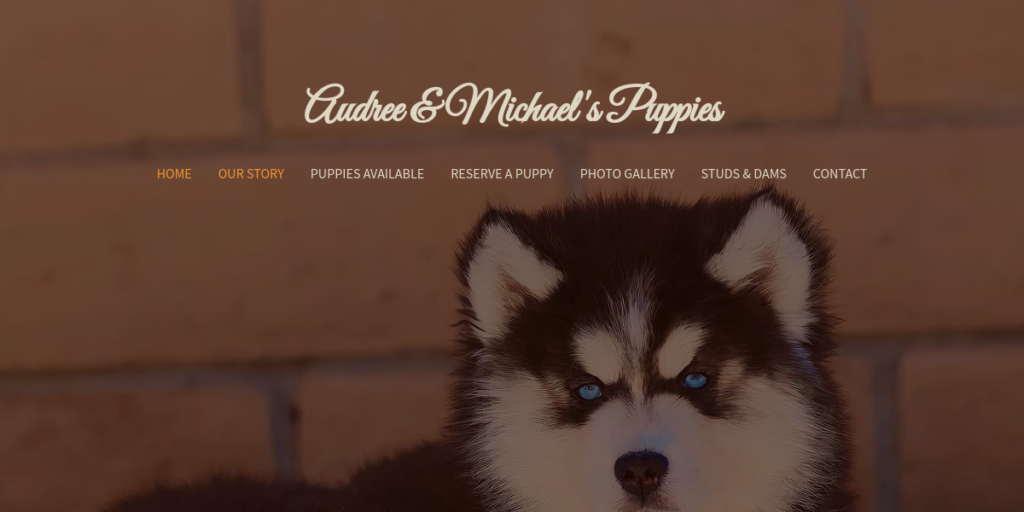 Dog Breeder Website Design 7 AM Ppuppies