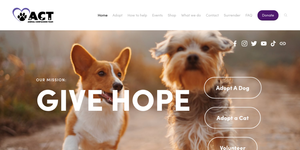 Animal Shelter Website Design 9 Animal Compassion Team
