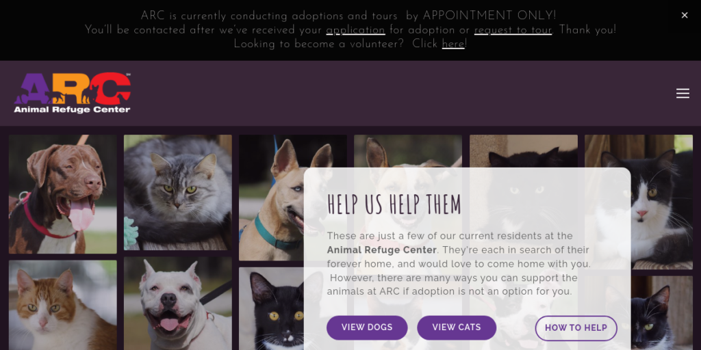 Animal Shelter Website Design 25 Animal Refuge Center