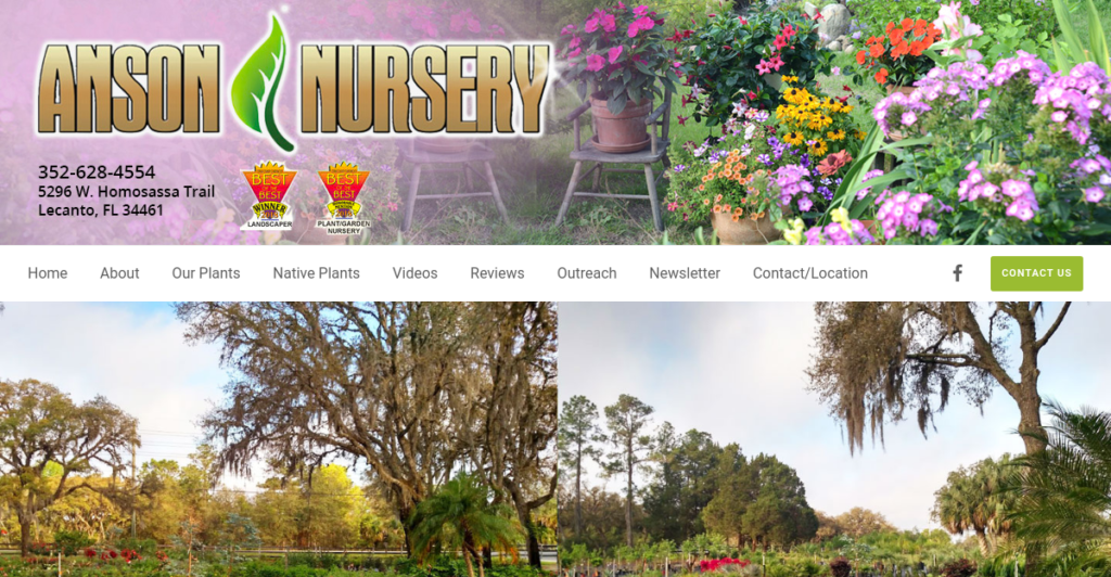 Plant Nursery Website Design 26 Anson Nursery