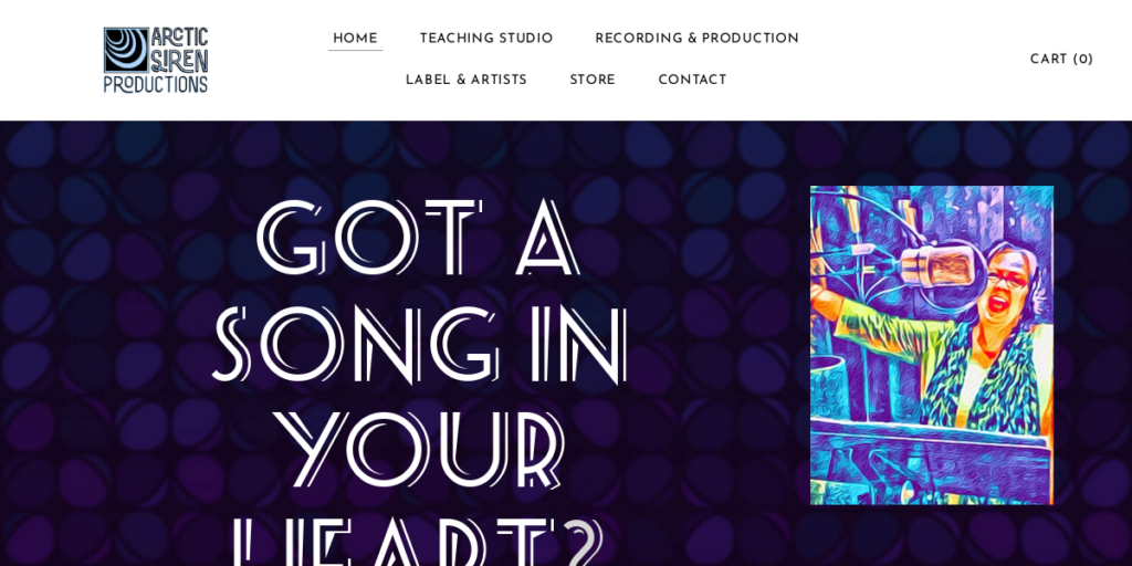 Recording Studio Website Design 14 Arctic Siren