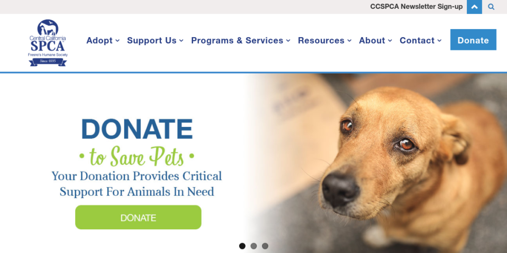 Animal Shelter Website Design 3 CC SPCA