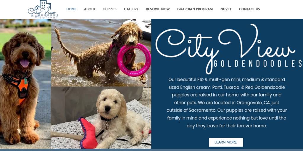 Dog Breeder Website Design 3 CV Doodles