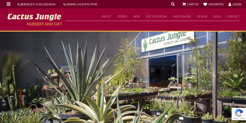 Garden Center Website Design 31 Cactus Jungle