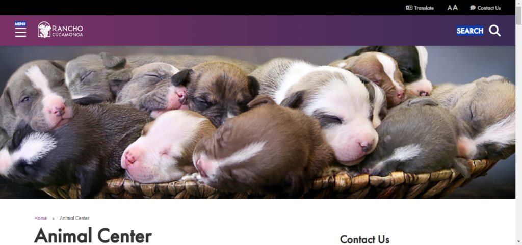 Animal Shelter Website Design 6 City of RC