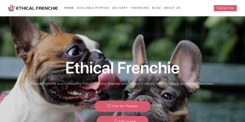 Dog Breeder Website Design 27 Ethical Frenchie