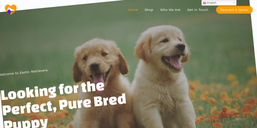 Dog Breeder Website Design 17 Exotic Retrievers