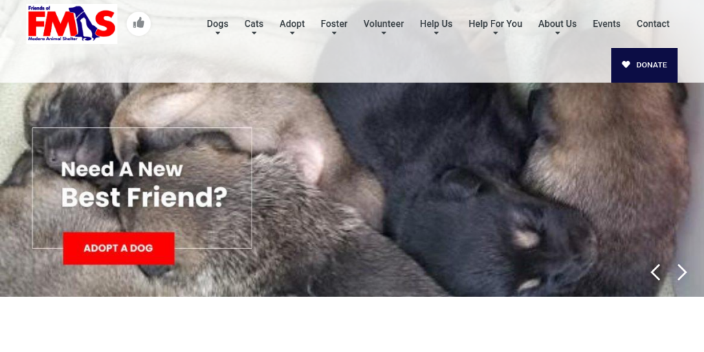 Animal Shelter Website Design 11 FMAS