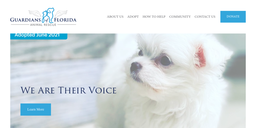 Animal Shelter Website Design 27 GOFAR