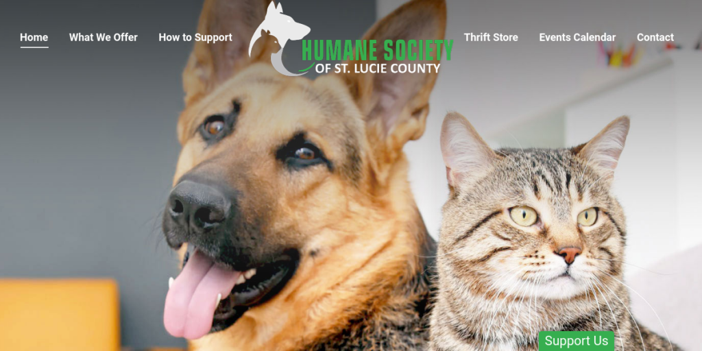 Animal Shelter Website Design 26 HSSLC