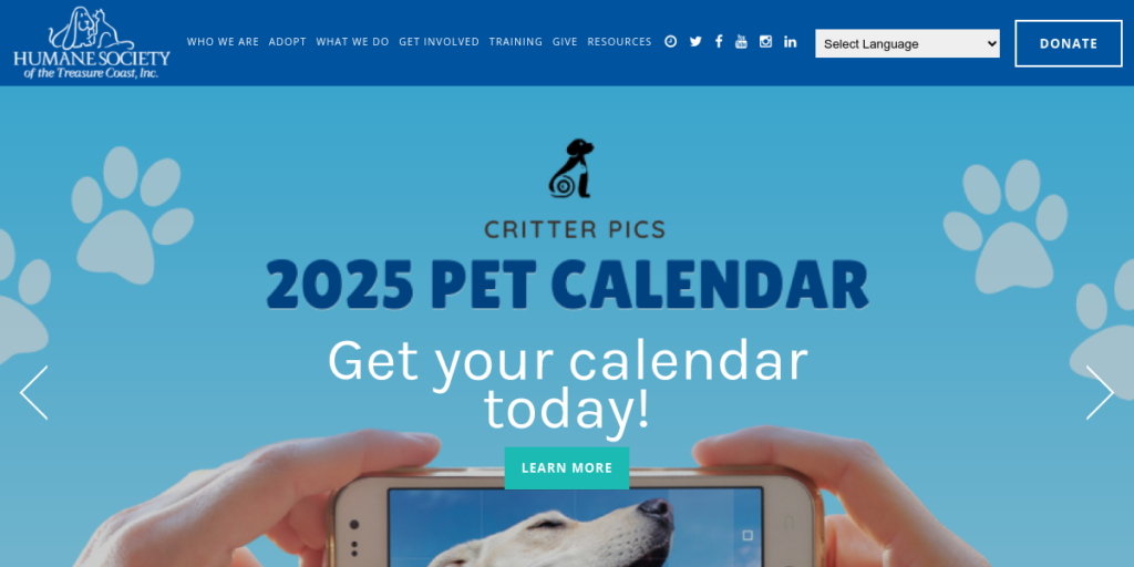 Animal Shelter Website Design 24 HSTC 1