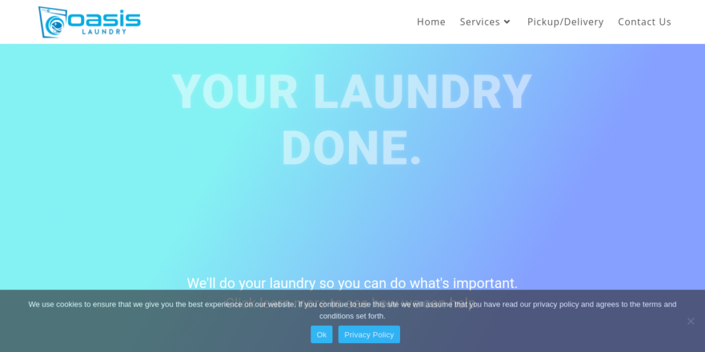 Laundry Website Design 3 Oasis Laundry