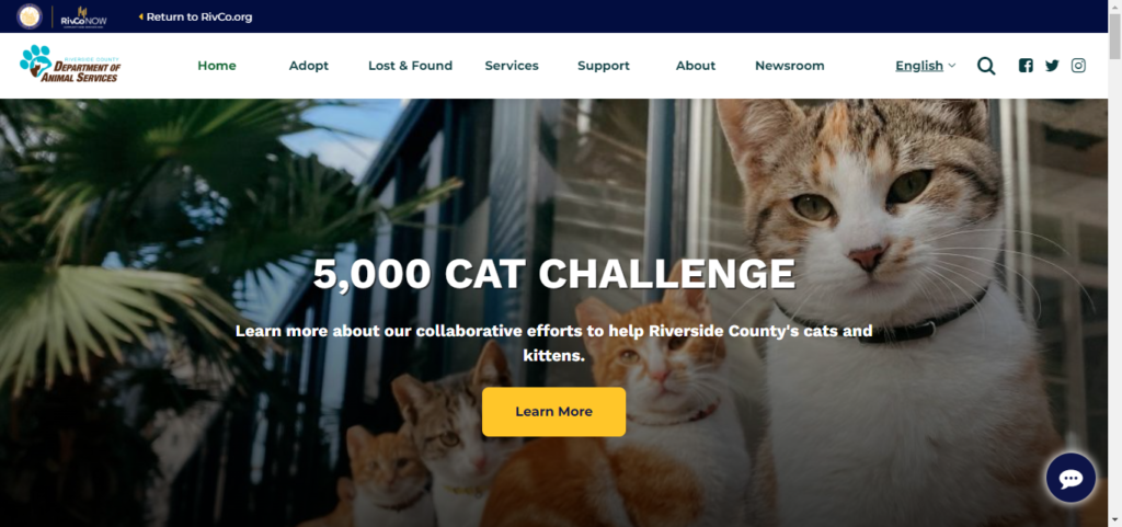 Animal Shelter Website Design 4 RCDAS