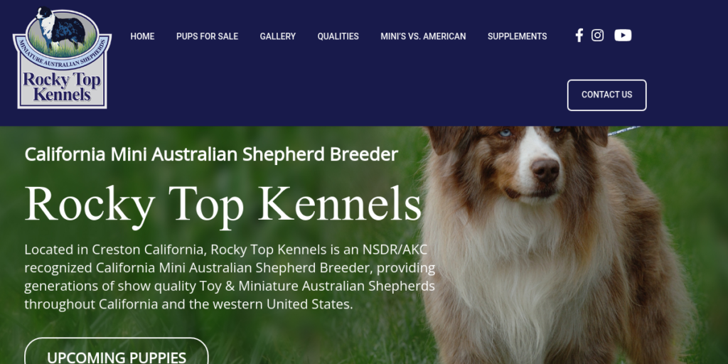 Dog Breeder Website Design 13 Rocky Top Kennels