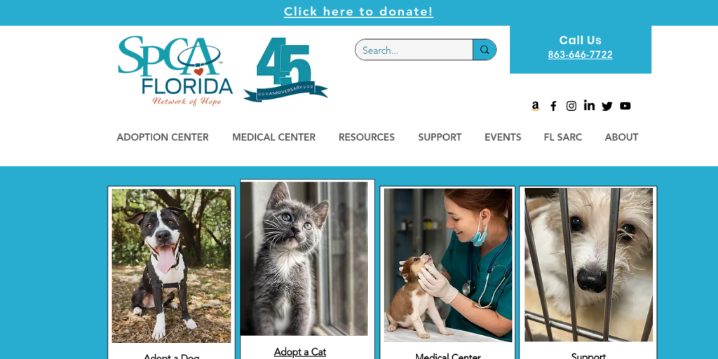 Animal Shelter Website Design 19 SPCA Florida