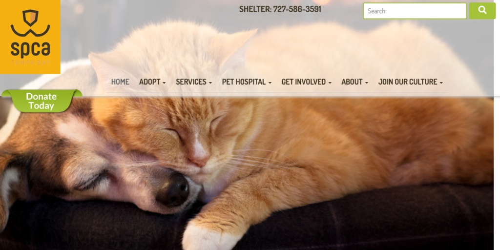 Animal Shelter Website Design 22 SPCA Tampa Bay