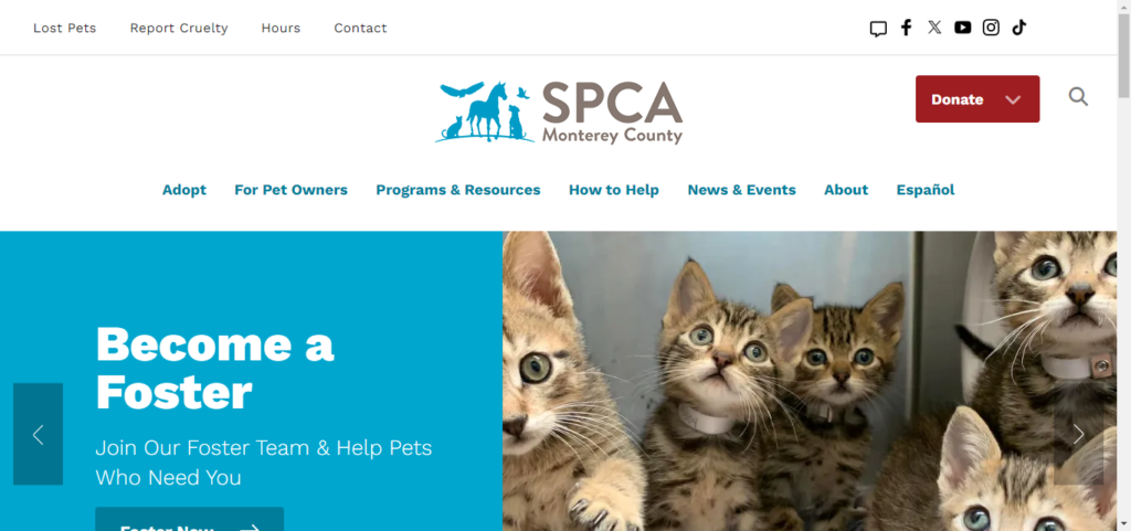 Animal Shelter Website Design 5 SPCAMC
