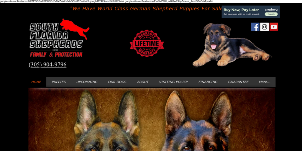 Dog Breeder Website Design 10 South Florida Shepherds