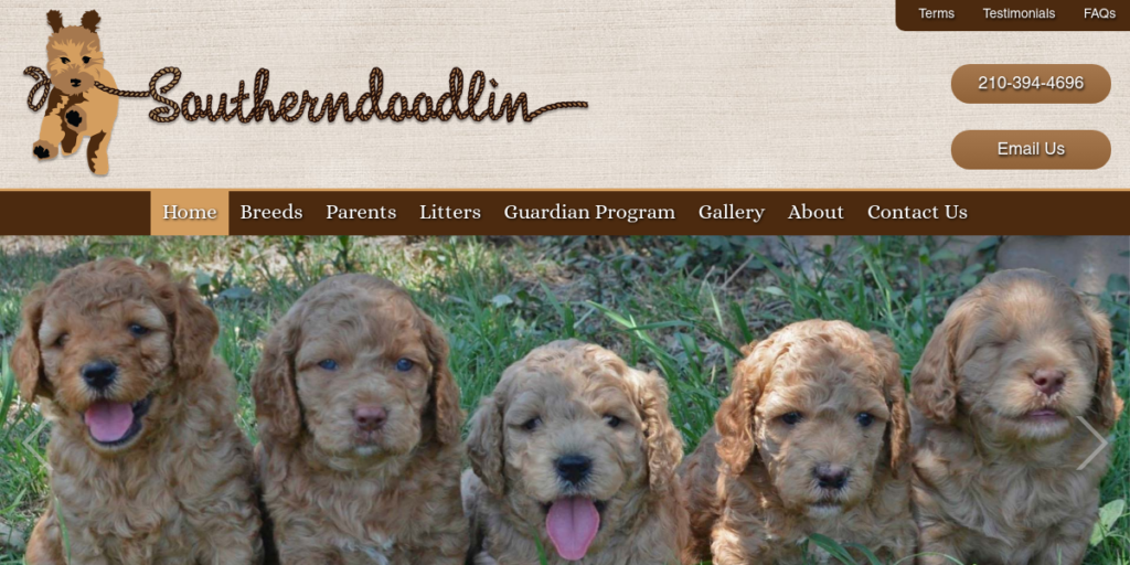 Dog Breeder Website Design 30 Southern Doodlin