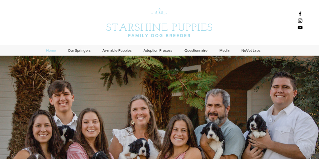Dog Breeder Website Design 12 Starshine Puppies