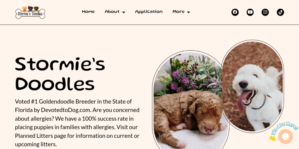 Dog Breeder Website Design 1 Stormies Doodles