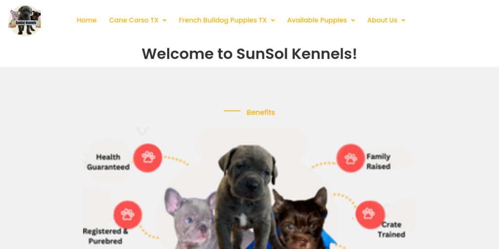 Dog Breeder Website Design 28 Sunsol Kennels