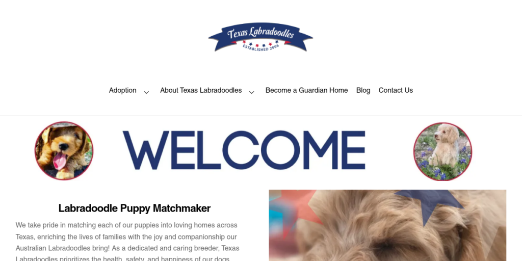 Dog Breeder Website Design 26 TX Labra Doodles