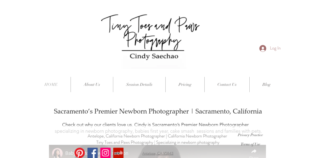 Newborn Photography Website Design 13 Tiny Toes And Paws