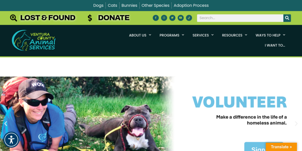 Animal Shelter Website Design 18 VCAS