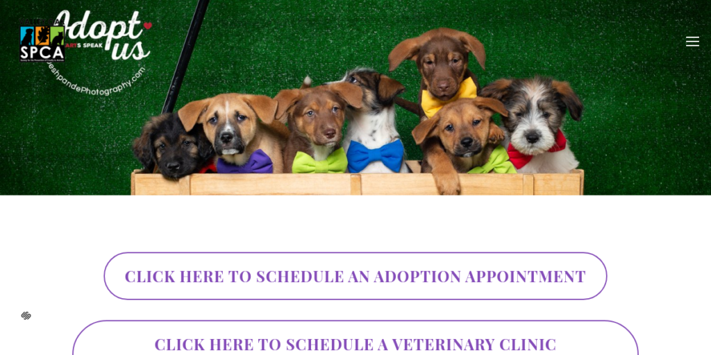 Animal Shelter Website Design 14 VOSPCA