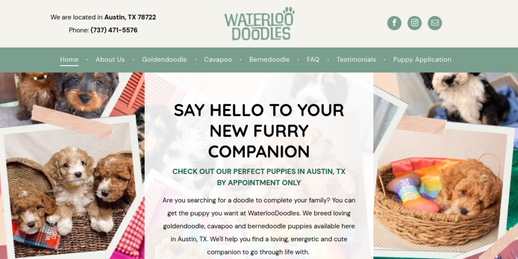 Dog Breeder Website Design 23 Waterloo Doodles