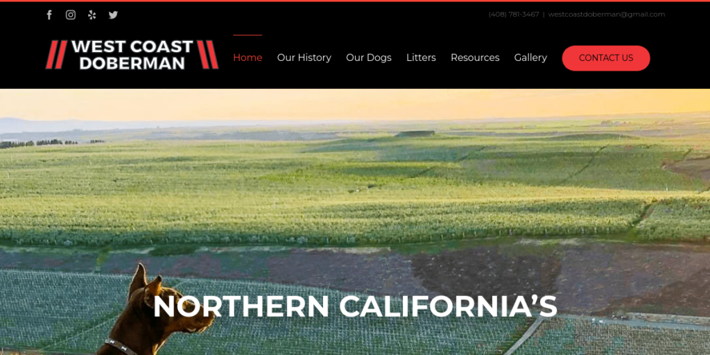 Dog Breeder Website Design 14 West Coast Doberman