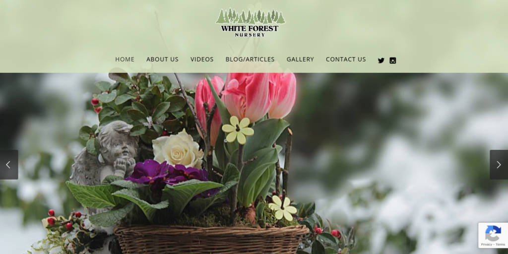 Garden Center Website Design 17 White Forest Nursery