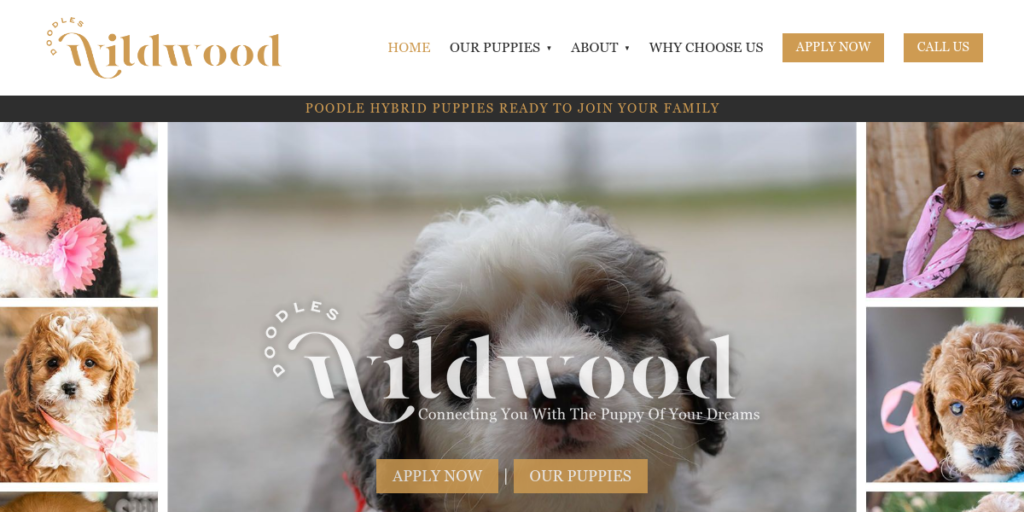 Dog Breeder Website Design 15 Wildwood Doodles