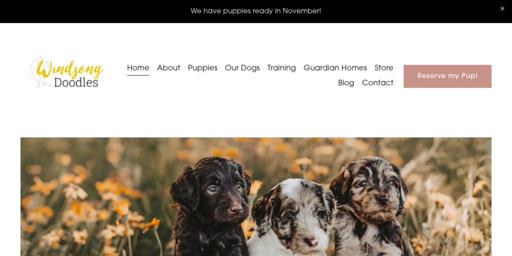 Dog Breeder Website Design 6 Windsong Doodles