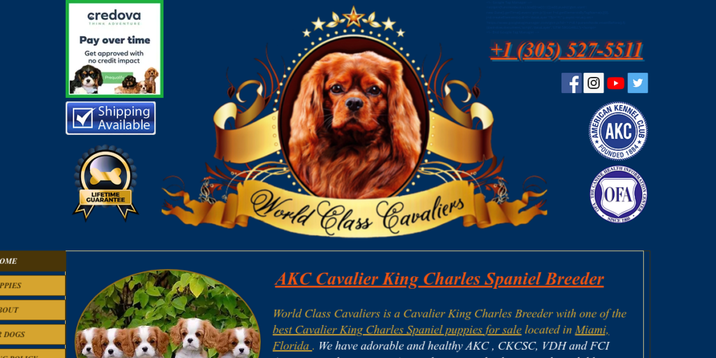 Dog Breeder Website Design 5 World Classca Valiers