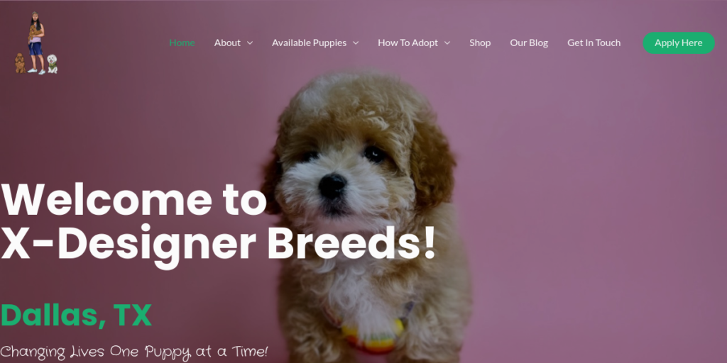 Dog Breeder Website Design 22 X Designer Breeds