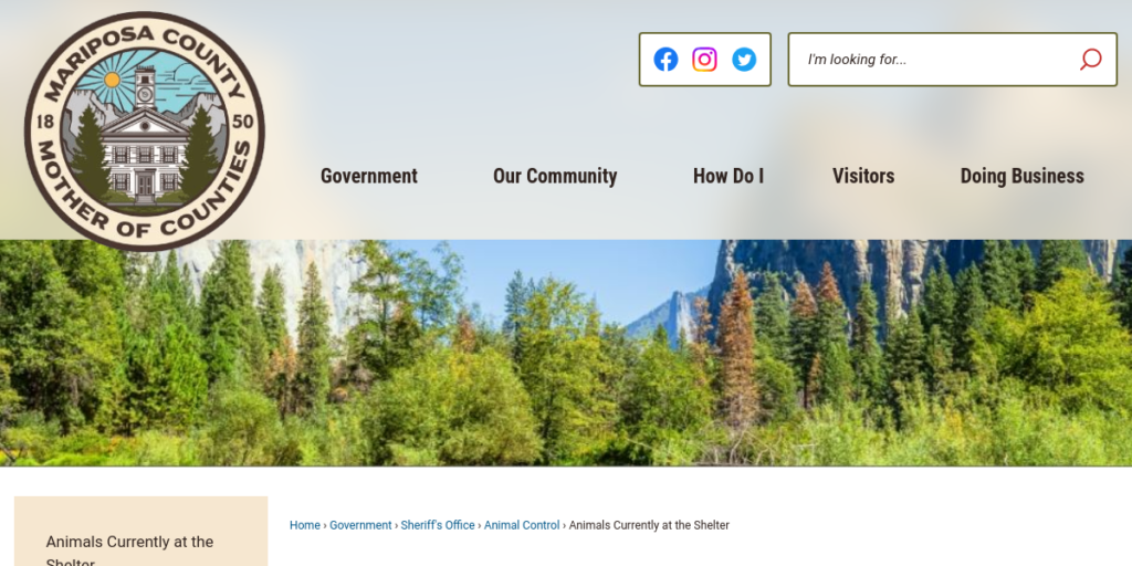Animal Shelter Website Design 8 mariposa county