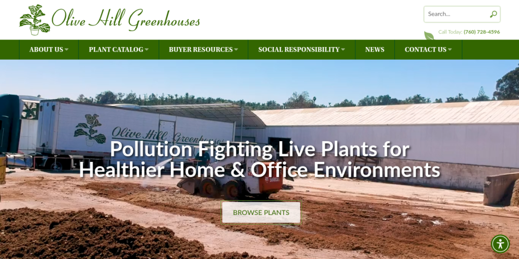 Greenhouse Website Design 14 Olive Hill